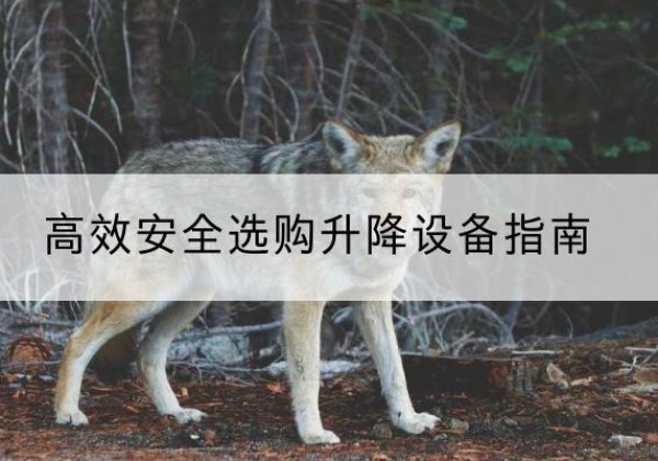 太和升降货梯厂家推荐-*安全选购升降设备指南